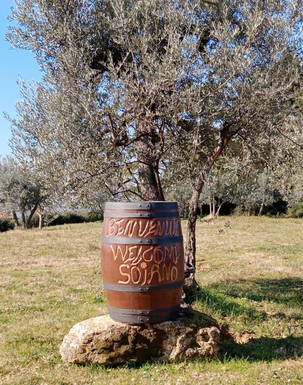 Agriturismo Soiano Famiglia Rolfini Montaione Exterior foto